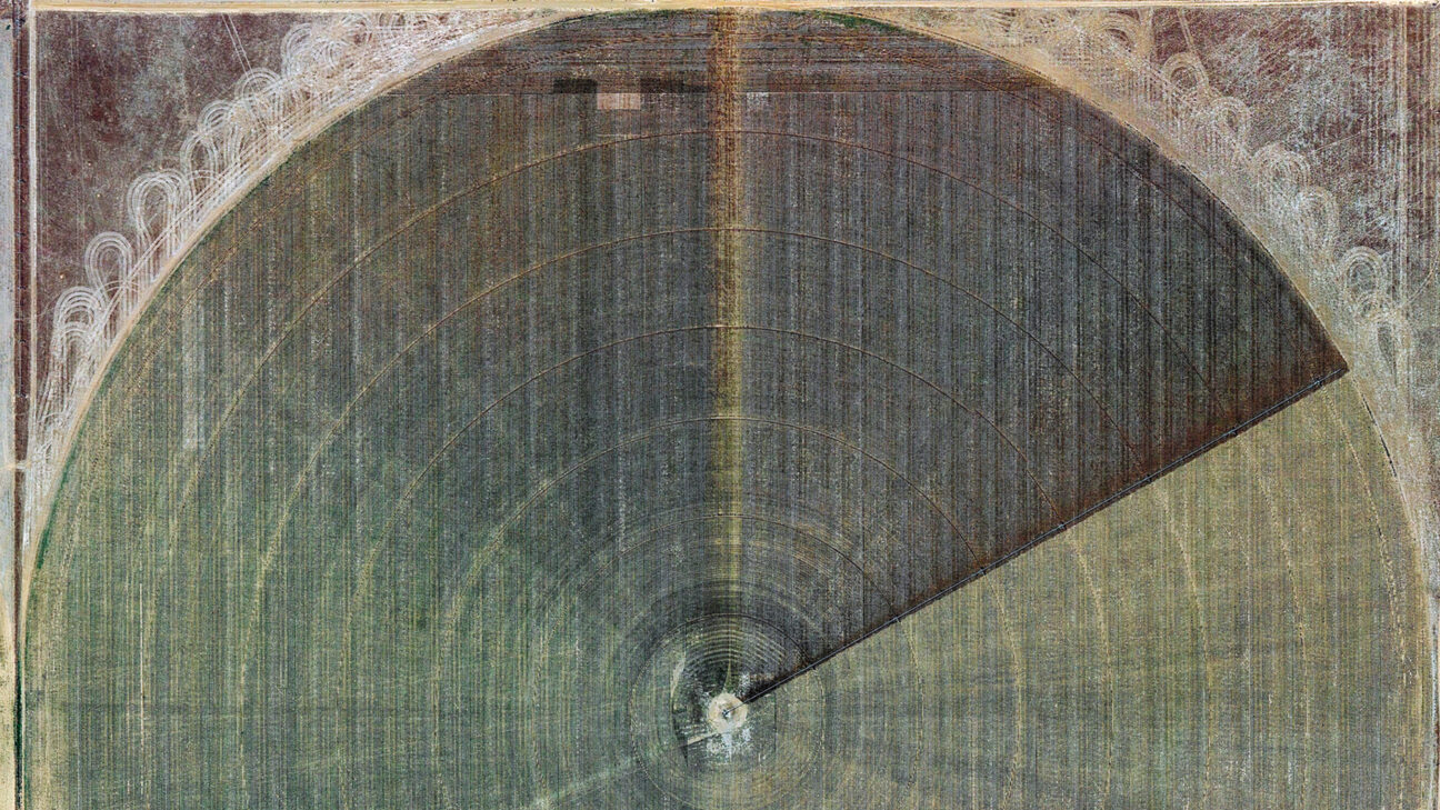 Het verzameld breiwerk van Loes Veenstra - IFFR EN