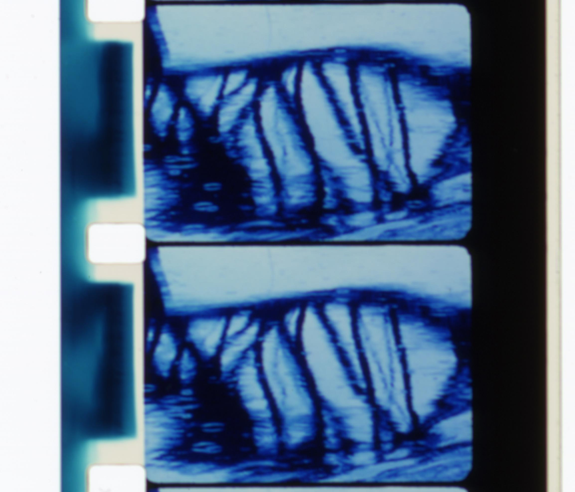 Transfixed - IFFR EN