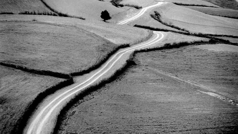 Abbas Kiarostami - IFFR EN