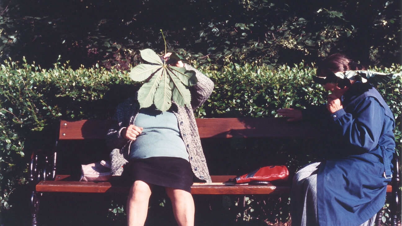 This side of Paradise, fragments of an unfinished biography - IFFR EN