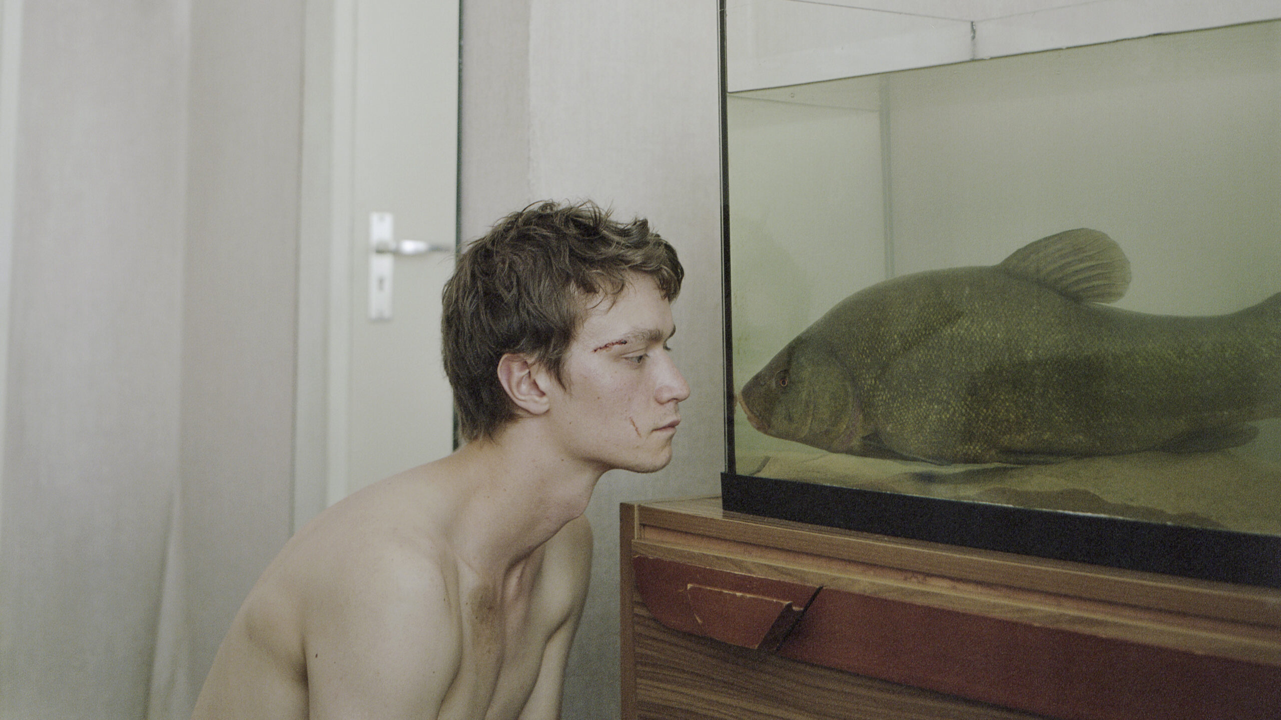 Muidhond - IFFR EN