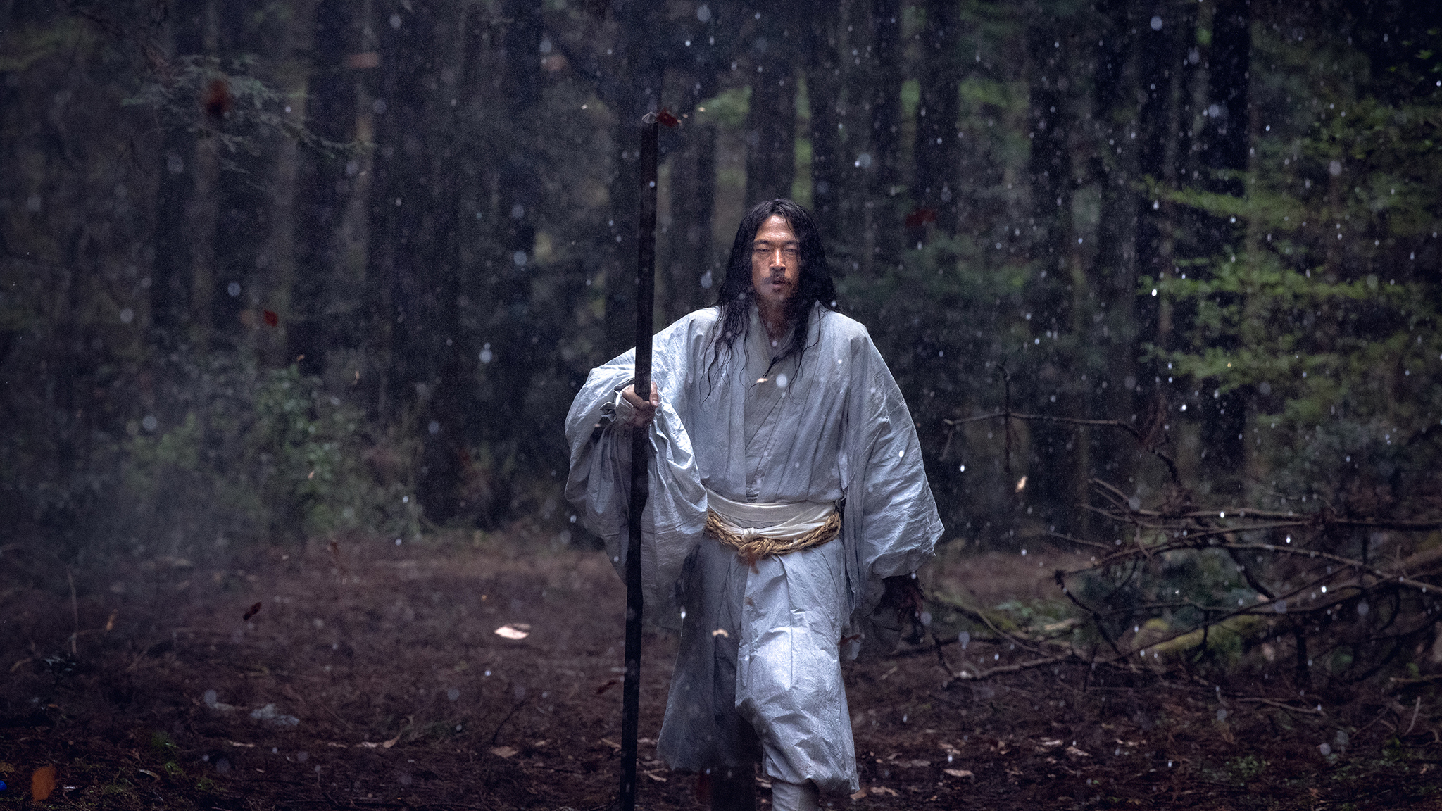 Transcending Dimensions - IFFR EN
