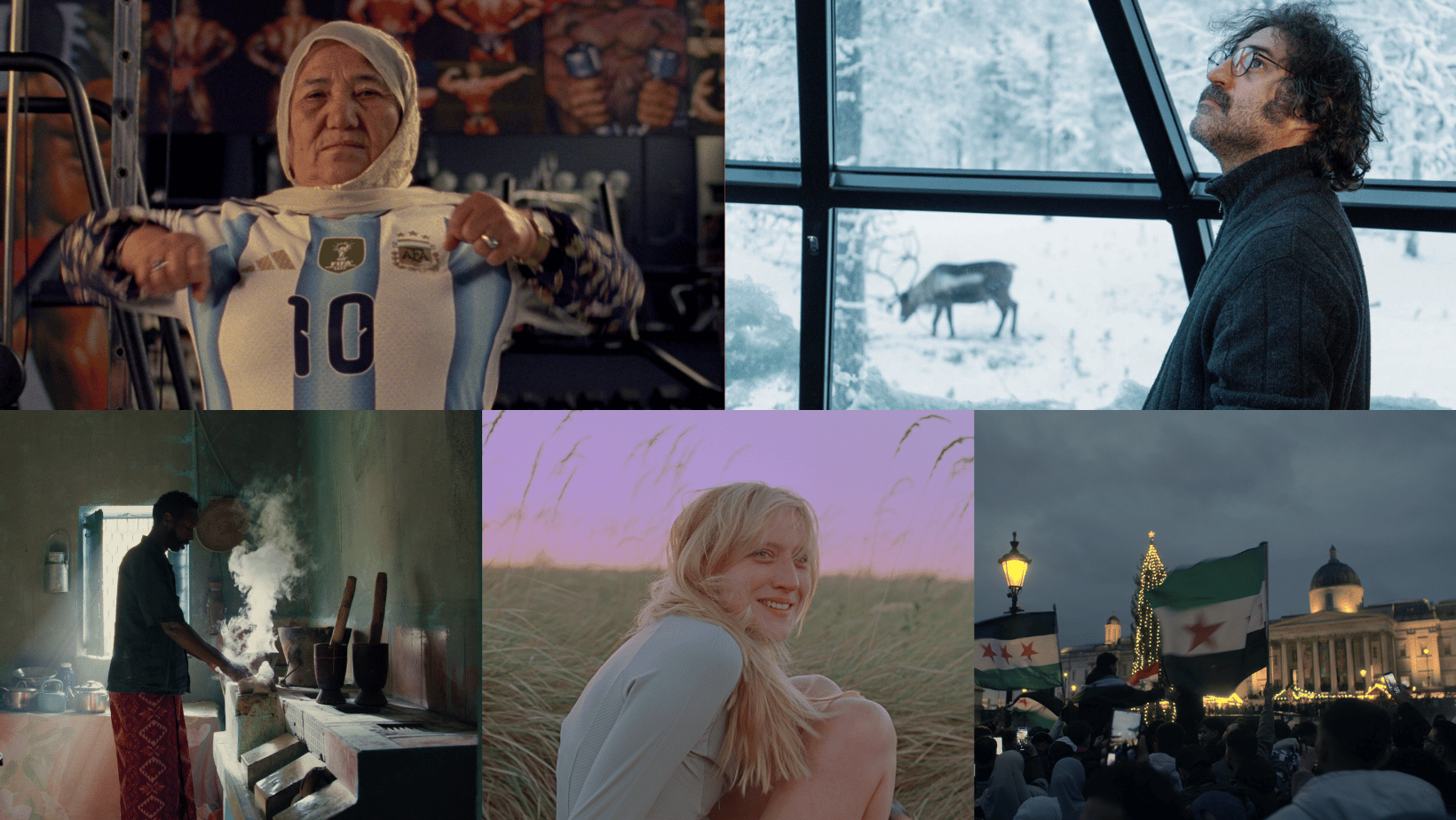 Programme Guide IFFR 2025 - IFFR EN