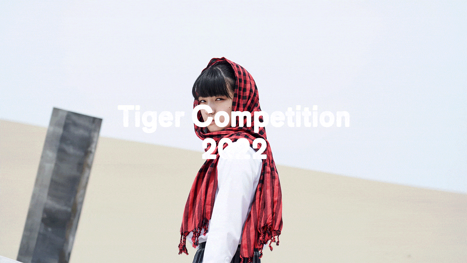 Tiger Competition titles