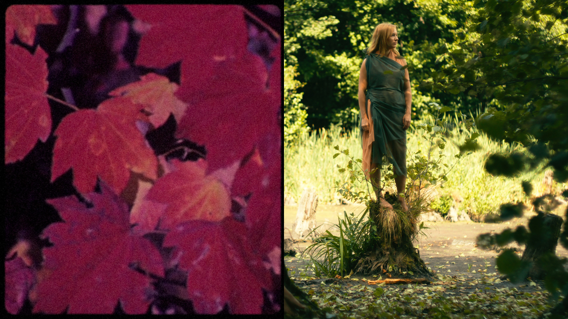 Where do Ideas Come from? Tisztàs filmclub autumn